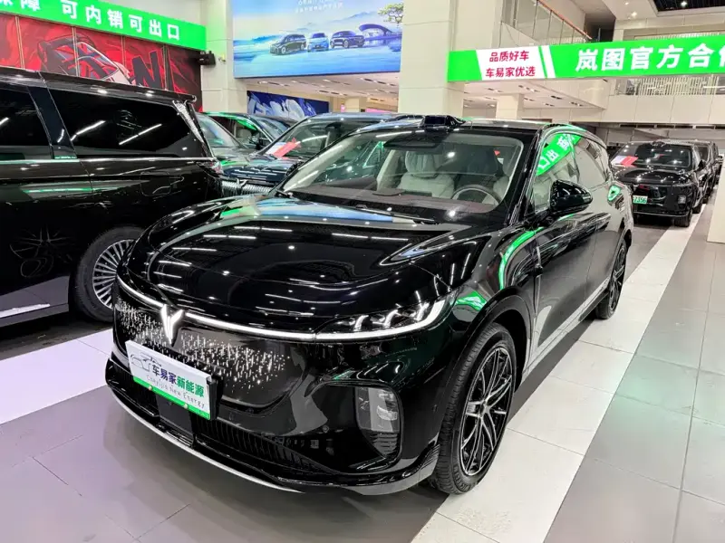 VOYAH Zhiyin, 2025