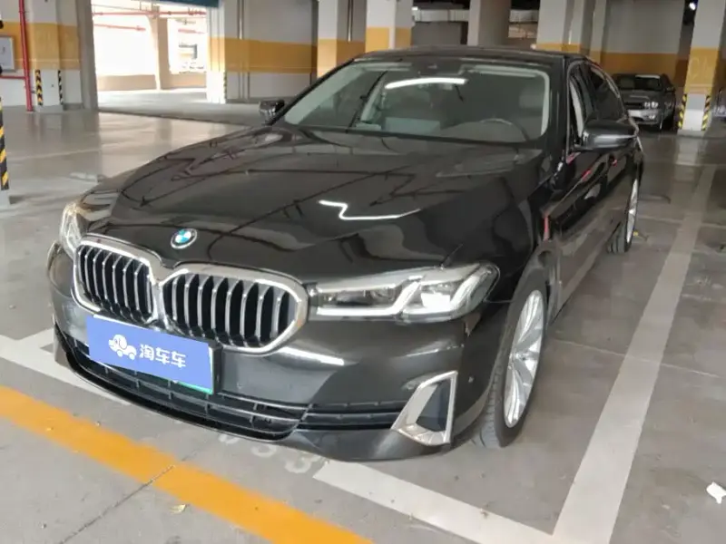 BMW 5 Series New Energy, 2021