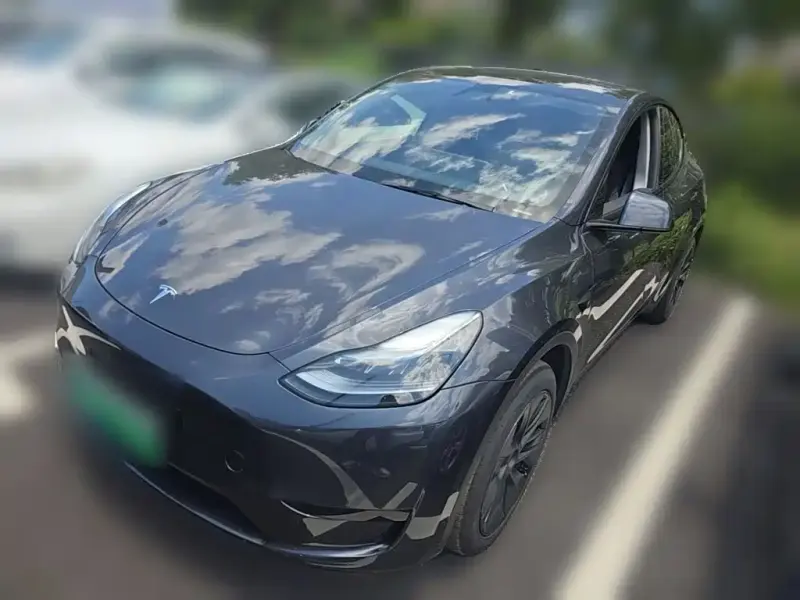 Tesla Model Y, 2024