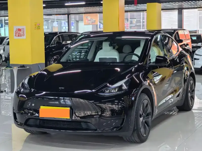 Tesla Model Y, 2024