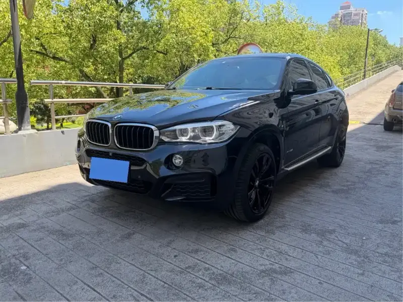 BMW X6, 2019