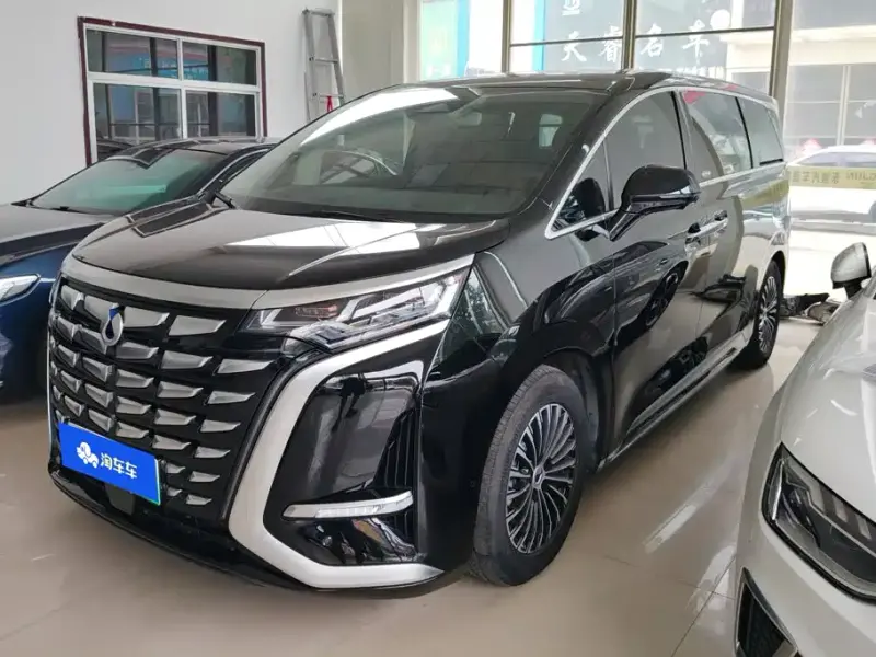 Denza D9, 2024