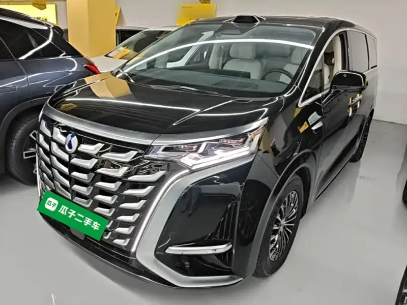 Denza D9, 2025