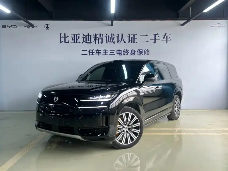Denza N9, 2025