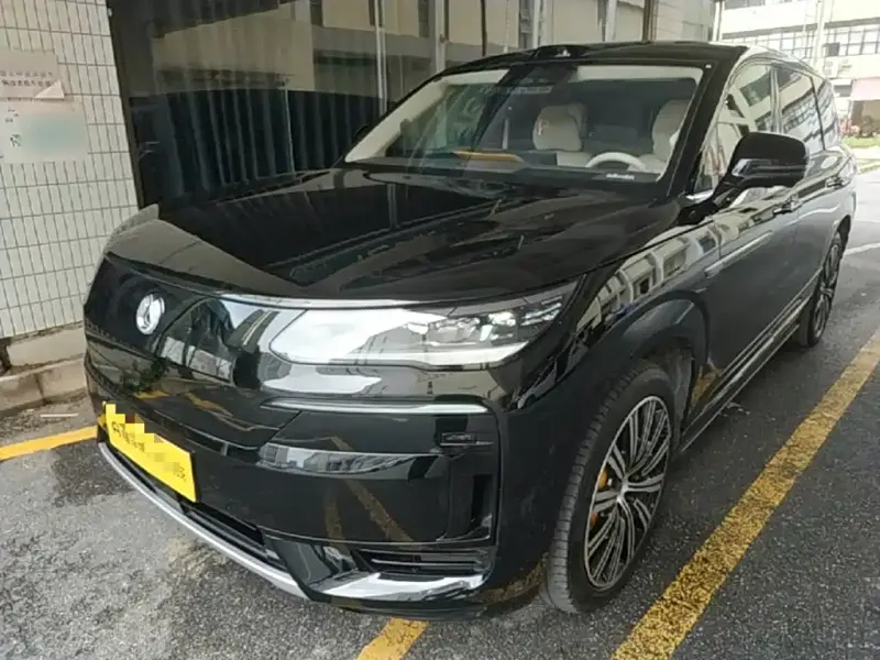 Denza N9, 2025