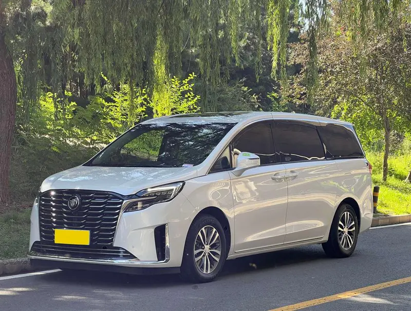 Buick GL8, 2023