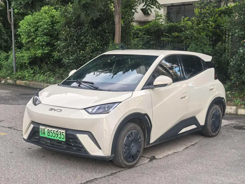 BYD Seagull Glory Edition 305KM Edition, 2024 — фото 1