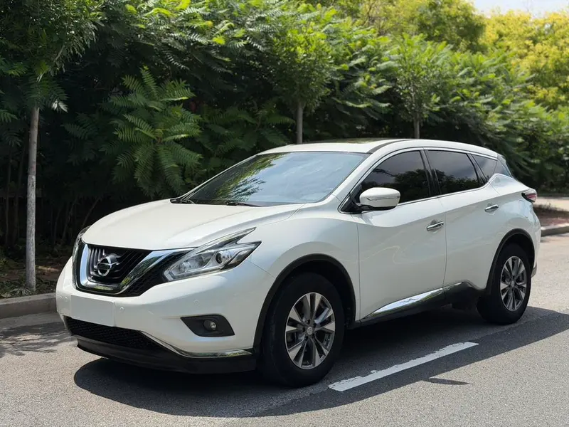Nissan Murano 2.5L XL 2WD Style Edition, 2017 — фото 1