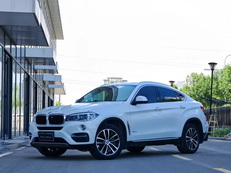 BMW X6 xDrive35i Leading Version, 2015 — фото 1
