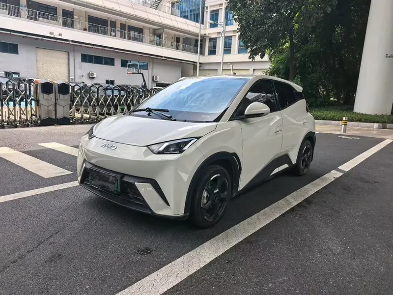 BYD Seagull Glory Edition 305KM Edition, 2024 — фото 1