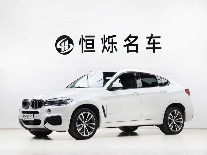 BMW X6 xDrive50i M Sport Version, 2015 — фото 1