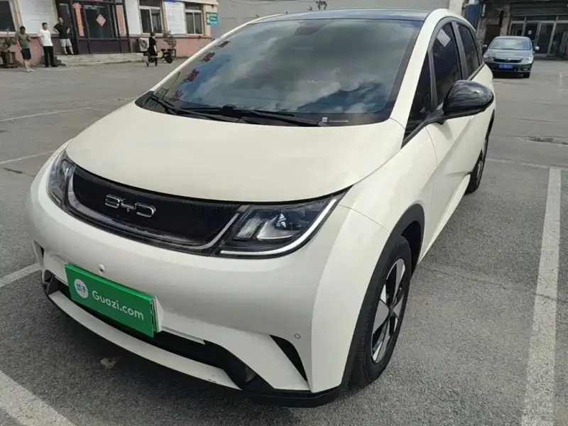 BYD Dolphin, 2023