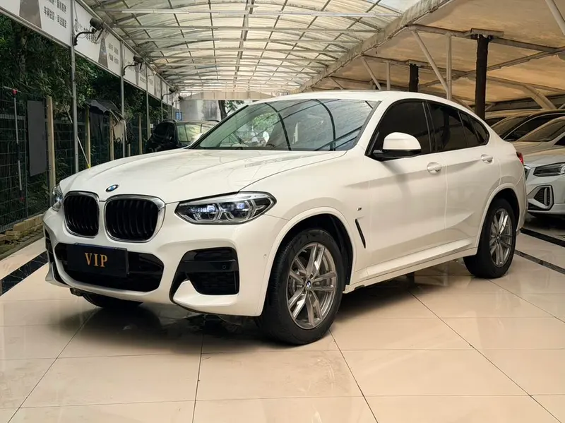 BMW X4 xDrive25i M Sport, 2021 — фото 1