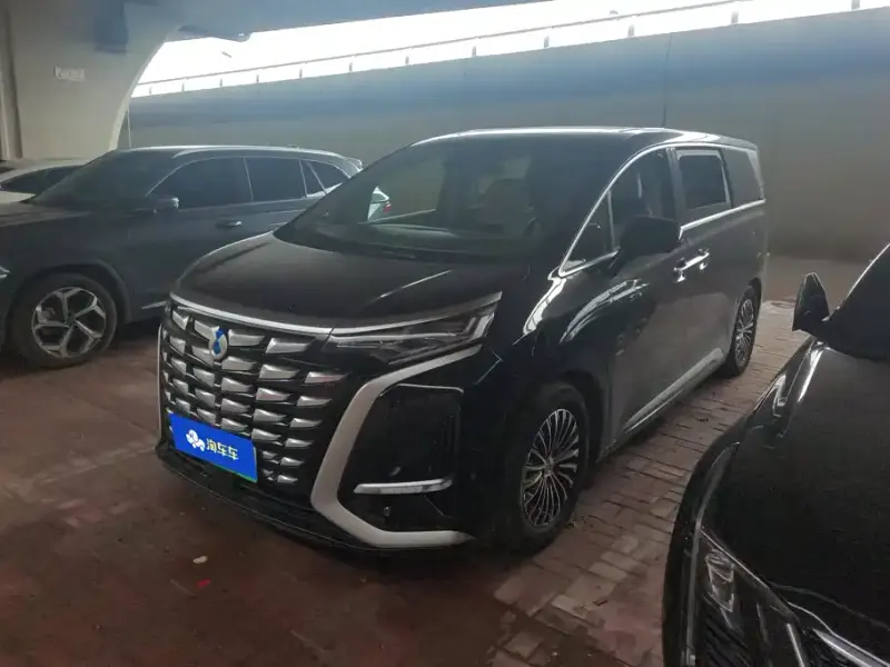 Denza D9, 2024