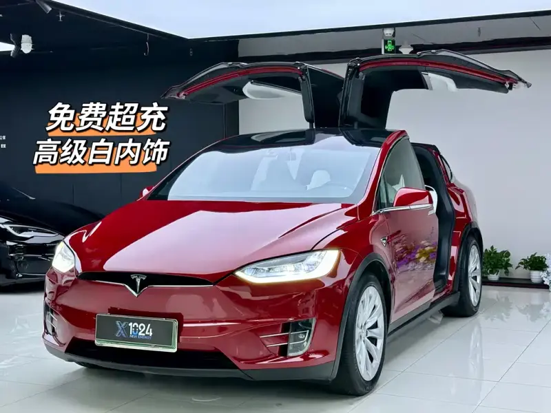Tesla Model X, 2018