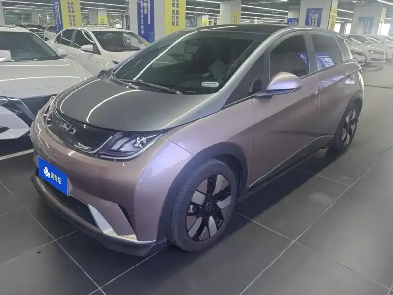 BYD Dolphin, 2025