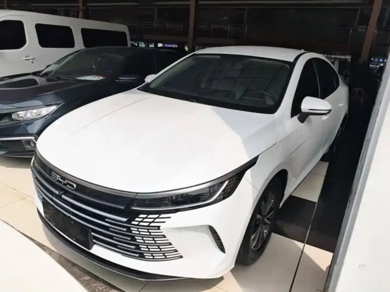 BYD Destroyer 05, 2024