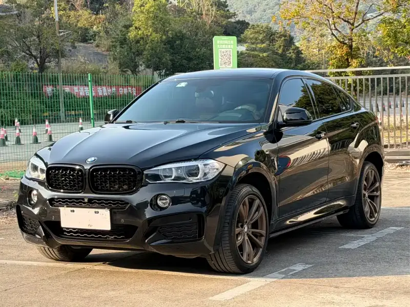 BMW X6, 2019 — фото 1