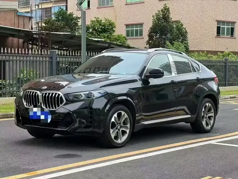 BMW X6, 2010 — фото 1