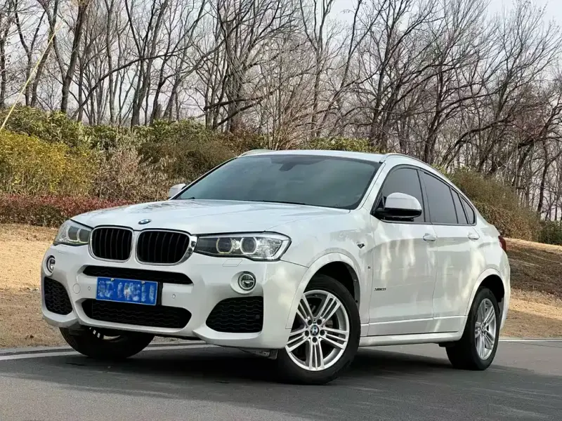 BMW X4, 2018 — фото 1