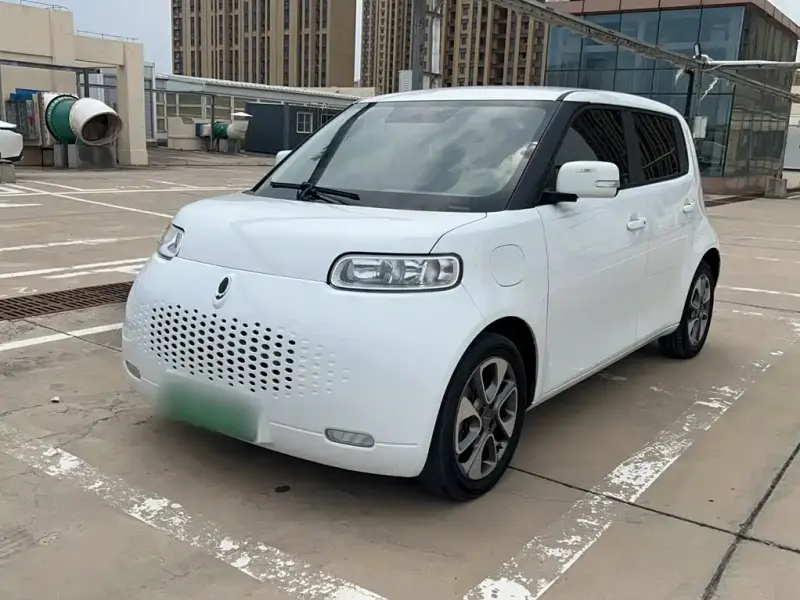Ora White Cat, 2021