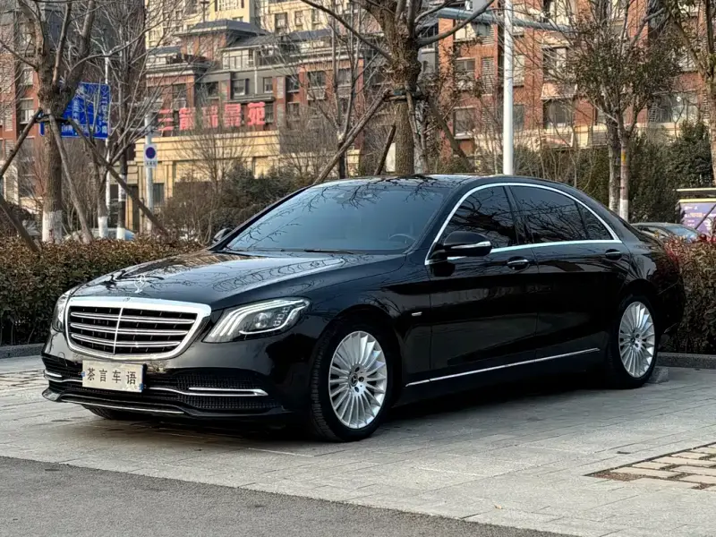Mercedes-Benz S-Class, 2020 — фото 1