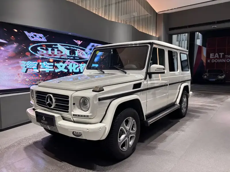 Mercedes-Benz G-Class, 2013 — фото 1