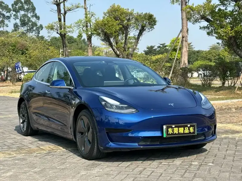 Tesla Model 3, 2019