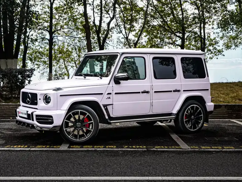 Mercedes-Benz G-Class, 2020 — фото 1