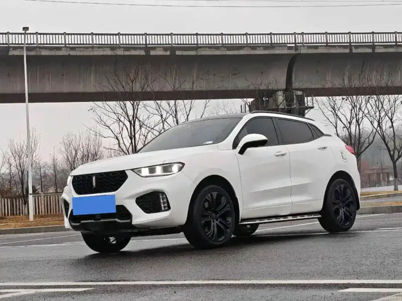 Wey VV5, 2018