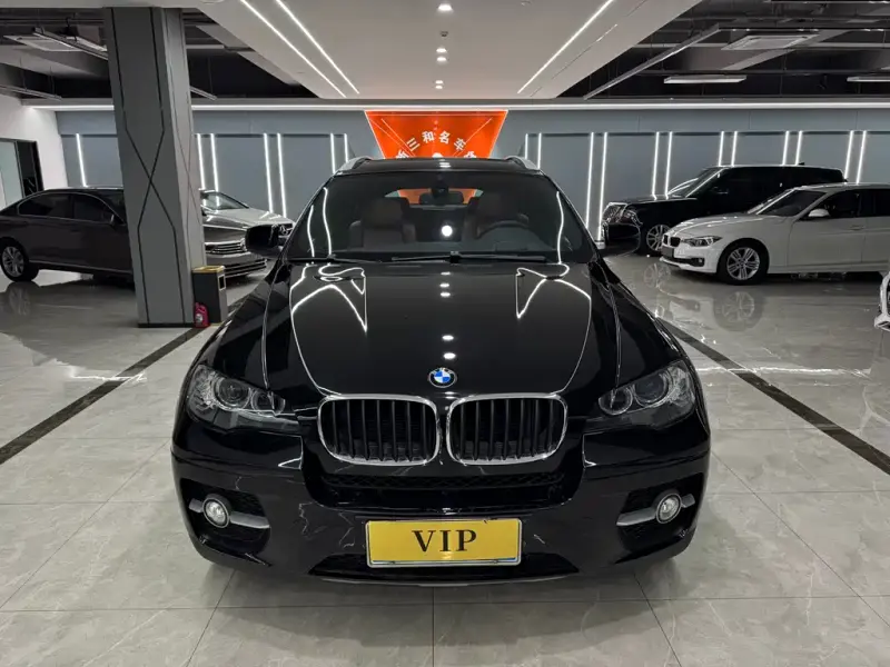 BMW X6, 2009 — фото 1