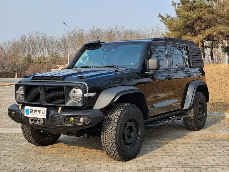 Tank 300, 2024