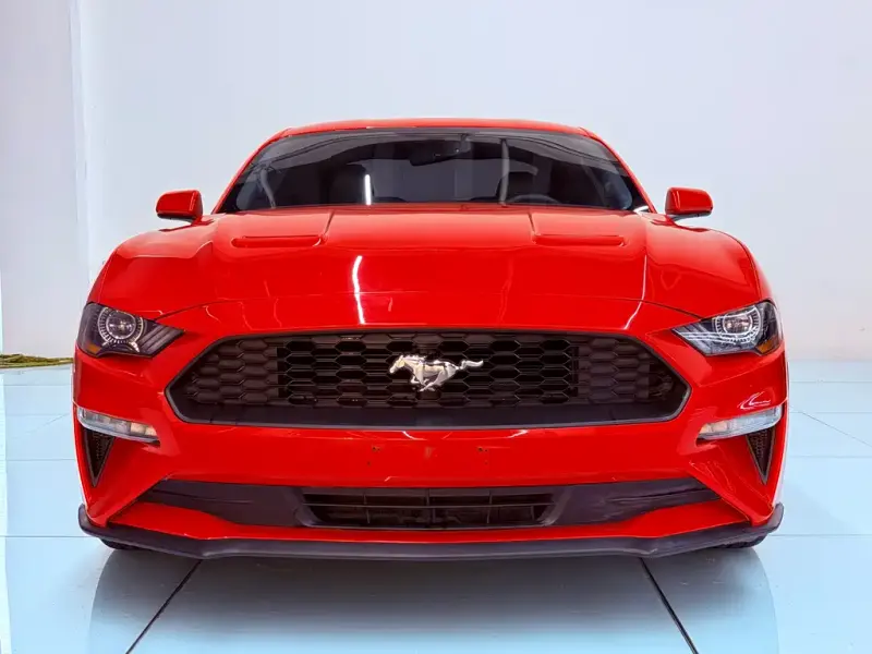 Ford Mustang, 2019 — фото 1