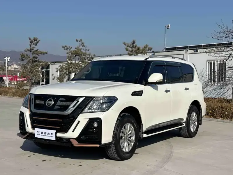 Nissan Patrol, 2019 — фото 1