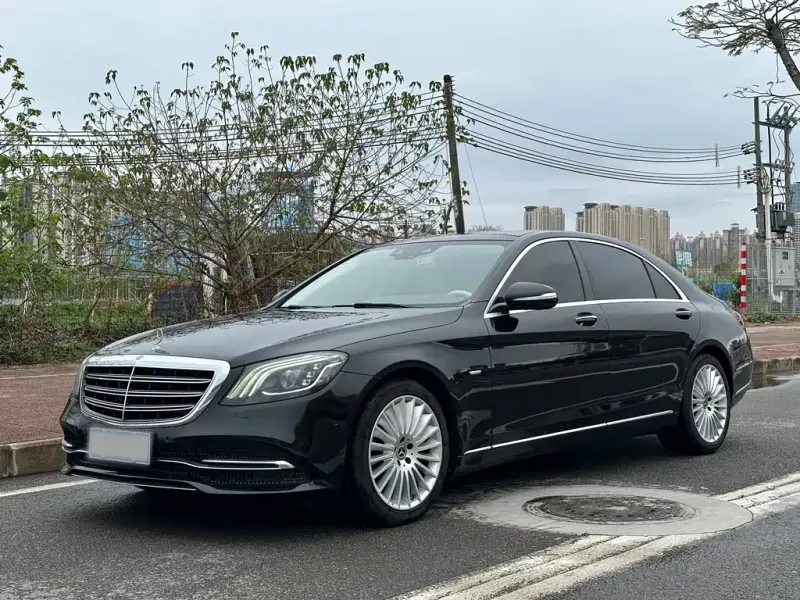 Mercedes-Benz S-Class, 2020 — фото 1