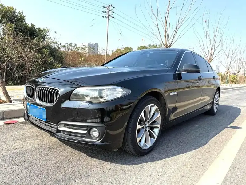 BMW 5 Series, 2015 — фото 1