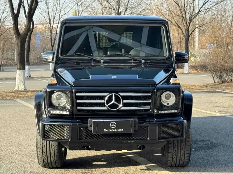 Mercedes-Benz G-Class, 2018 — фото 1