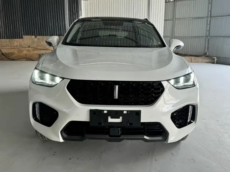 Wey VV5, 2019