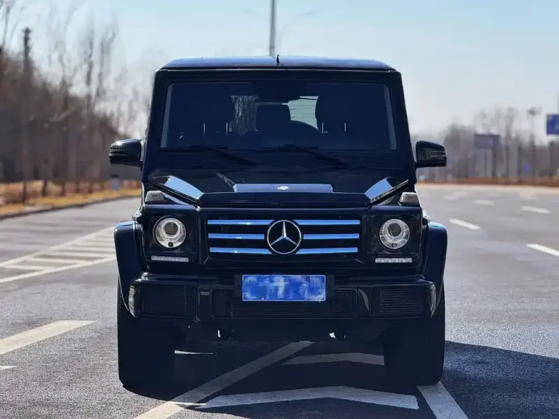 Mercedes-Benz G-Class, 2017 — фото 1