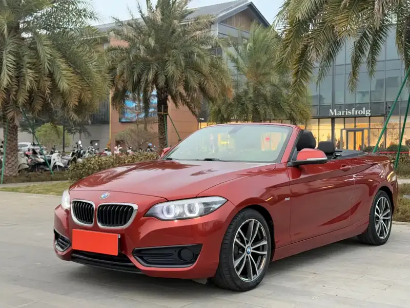 BMW 2 Series (Import), 2018 — фото 1