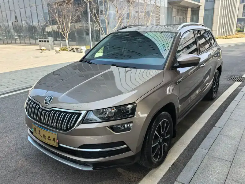Skoda Karoq, 2019 — фото 1