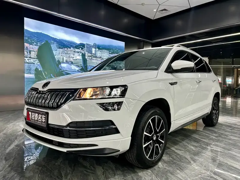 Skoda Karoq, 2024 — фото 1
