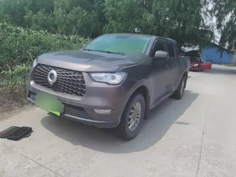 Great Wall Pao, 2020
