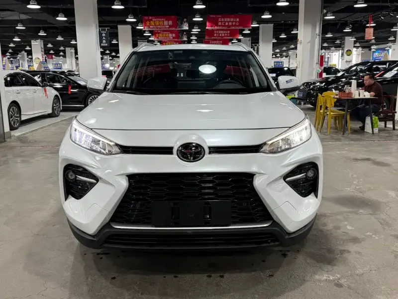 Toyota Wildlander, 2021