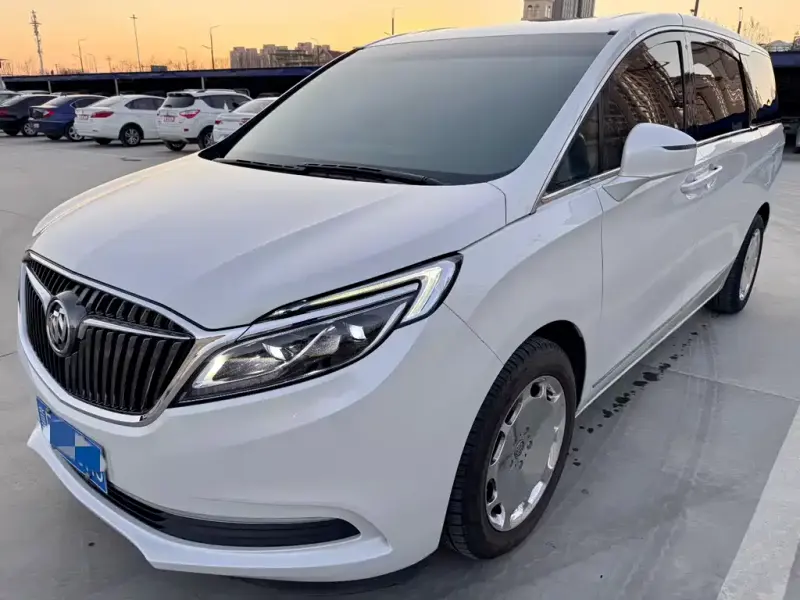 Buick GL8, 2019