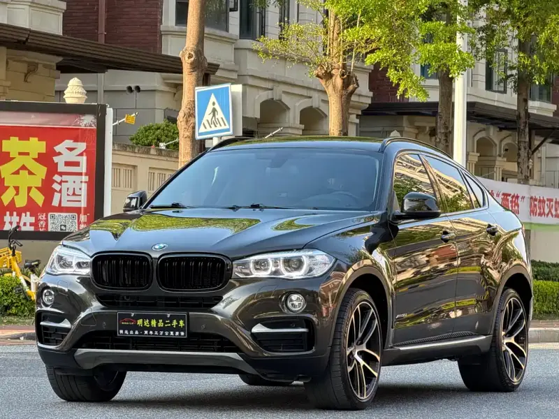 BMW X6, 2016 — фото 1
