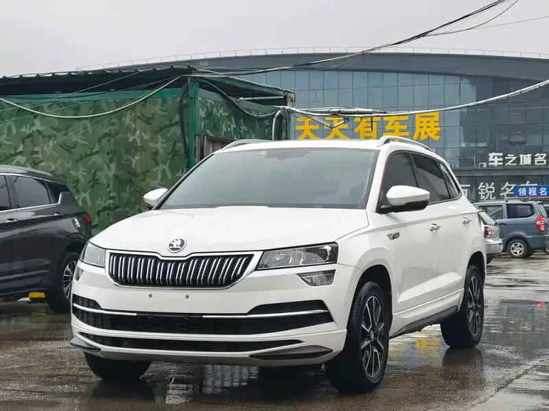 Skoda Karoq, 2023 — фото 1
