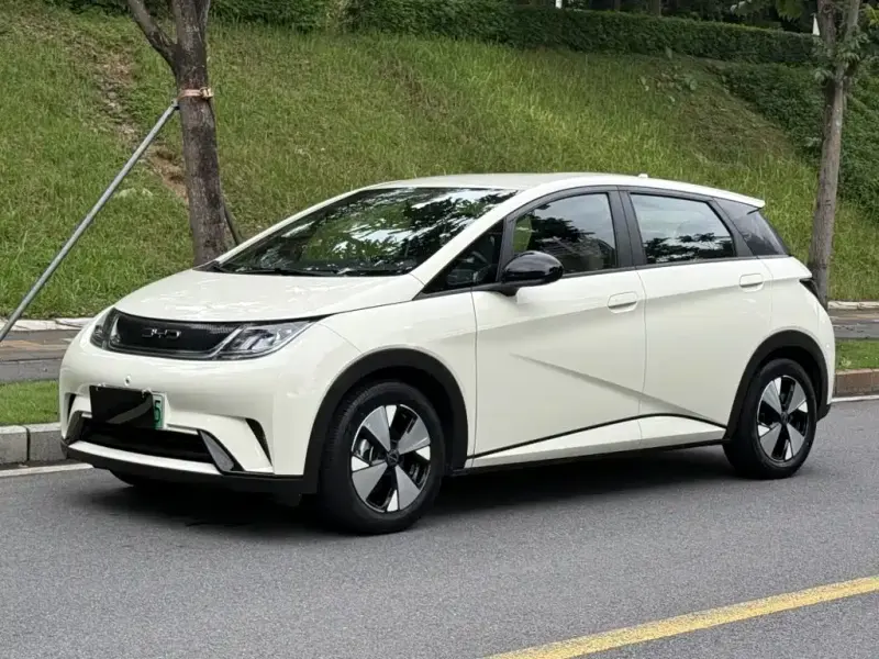 BYD Dolphin, 2023