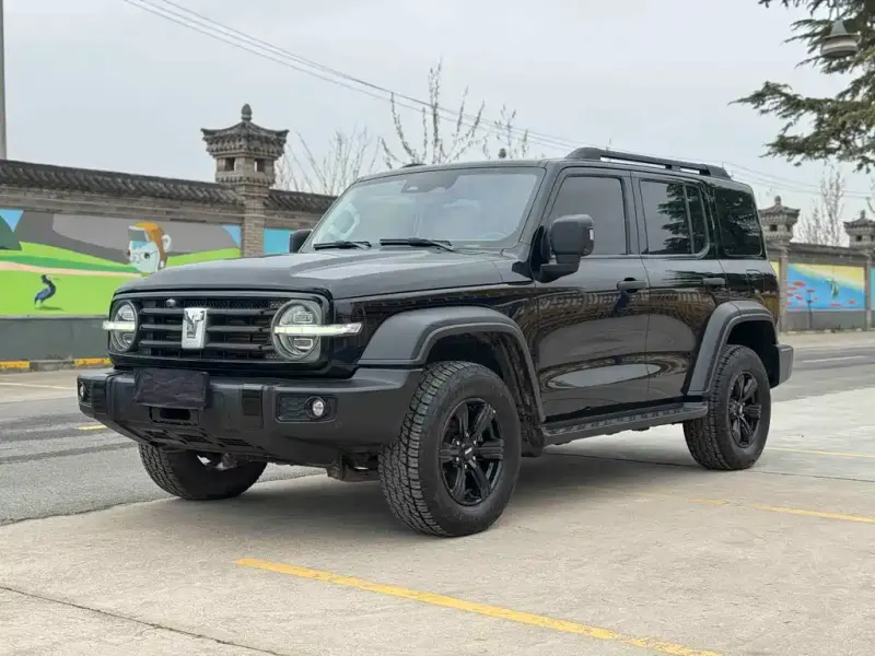 Tank 300, 2021