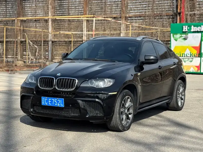 BMW X6, 2010 — фото 1